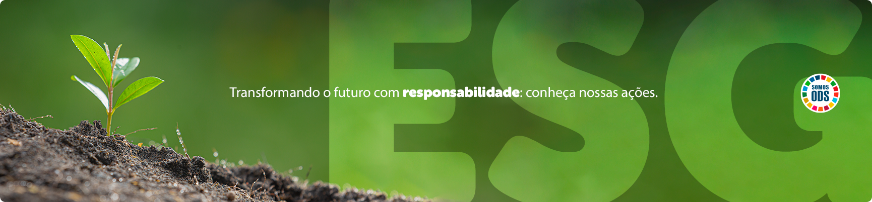 Sustentabilidade